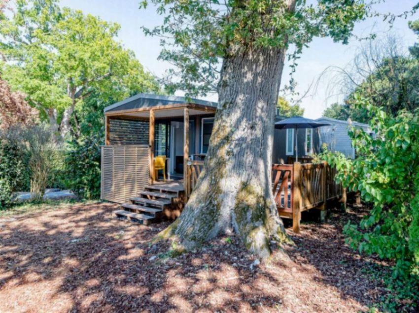 Camping Domaine Les Oreades - Maeva Selection Sanguinet Eksteriør bilde